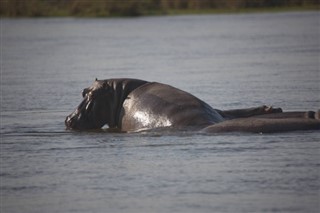 Zambia prognoza pogody