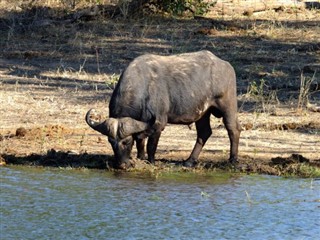 Zimbabve vremenska prognoza