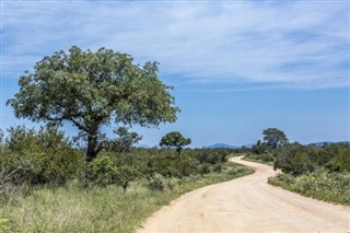 Zimbabwe weather forecast