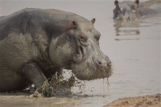 Zimbabue pronóstico del tiempo