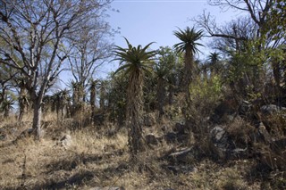 Zimbabwe weather forecast