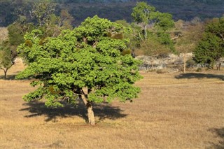 Zimbabwe weather forecast